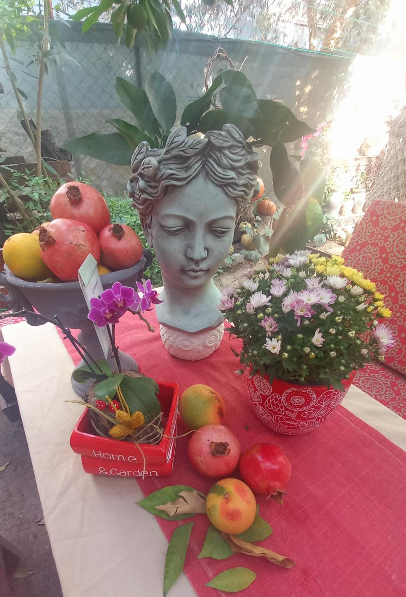 Demeter Rose Stonehouse Pansion Apartment Antalya Bagian luar foto
