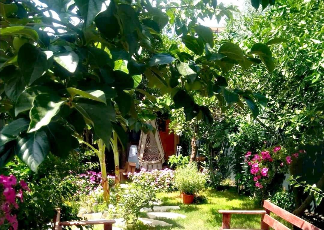 Demeter Rose Stonehouse Pansion Apartment Antalya Bagian luar foto