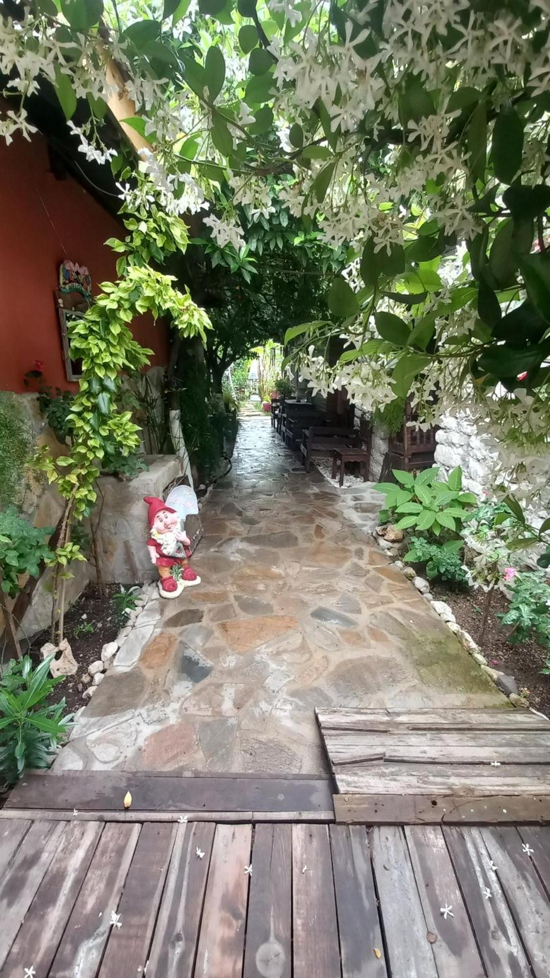 Demeter Rose Stonehouse Pansion Apartment Antalya Bagian luar foto